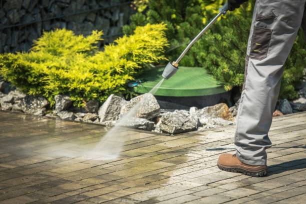 Best Boat and Dock Cleaning  in Adams, WI